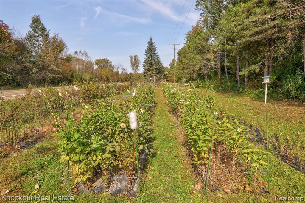 7553 BRAY Road, Vassar, MI 48768 — Photo 47