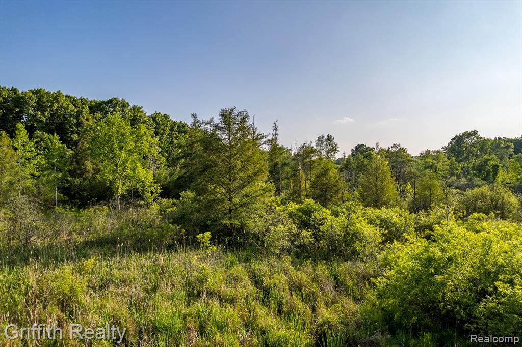 4433 Brighton Parcel C Road, Howell, MI 48843 — Photo 3