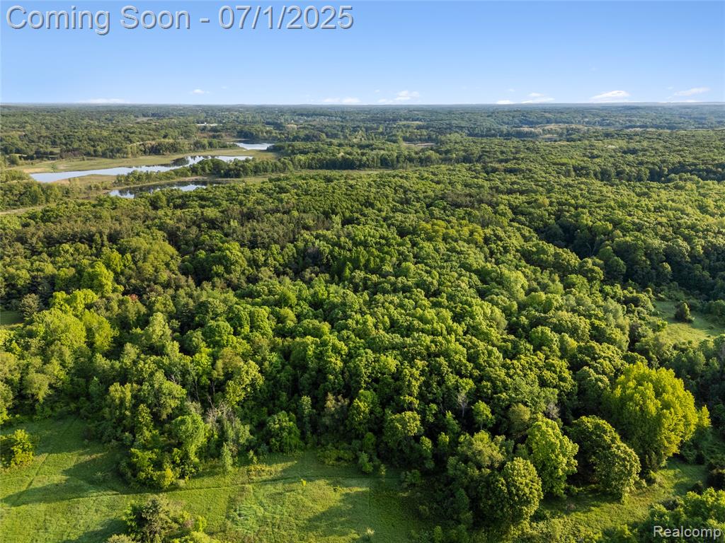 5131 Navajo Trail, Pinckney, MI 48169 — Photo 51