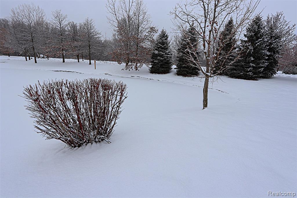 42759 Leon Drive, 155, Belleville, MI 48111 — Photo 42