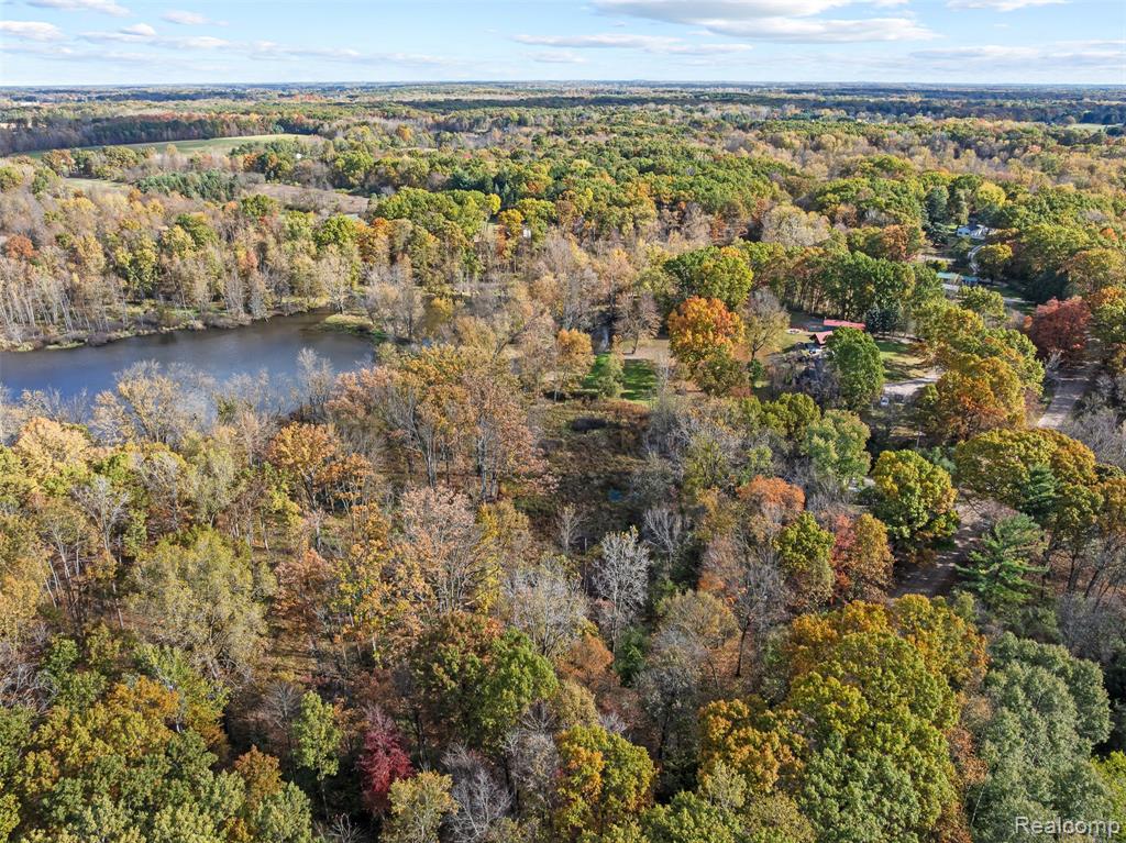 12266 Lillie Road, Byron, MI 48418 — Photo 47