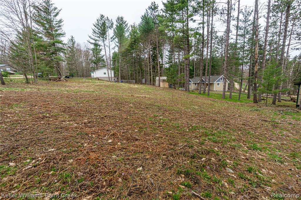 VL Clearview, Gerrish, MI 48653 — Photo 4