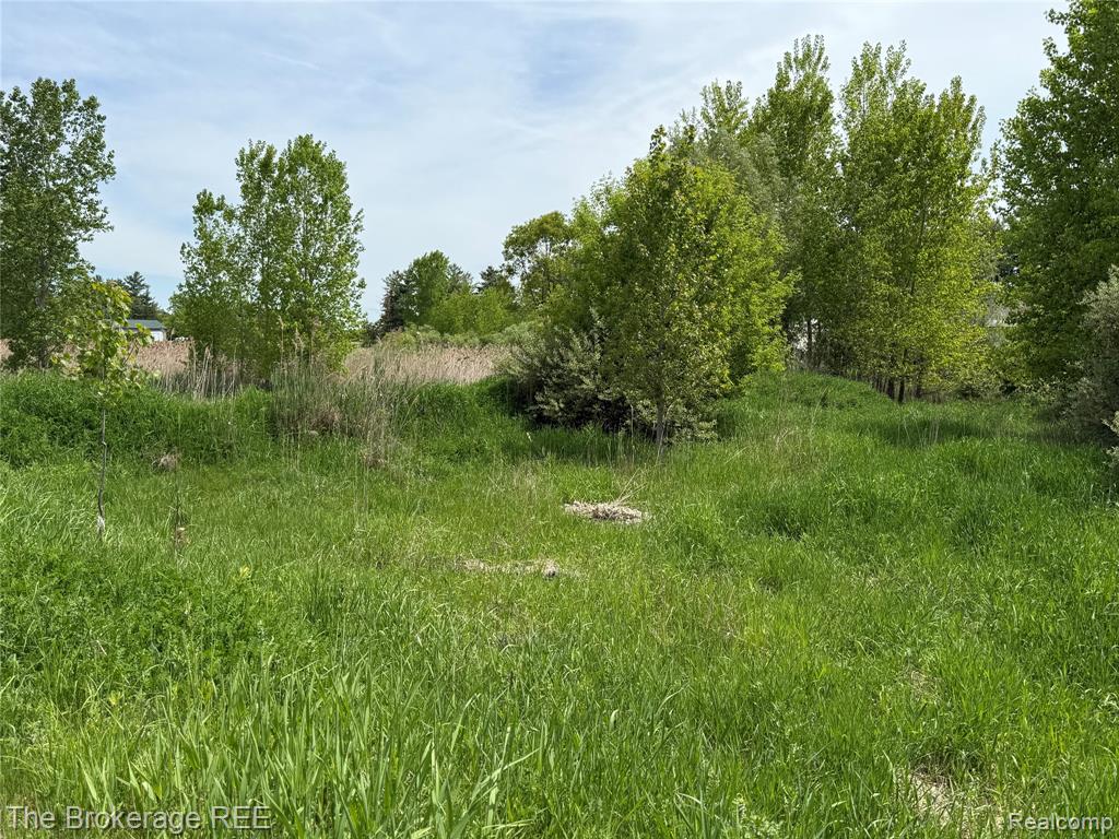 3020 Merwin Road, Lapeer, MI, 48446