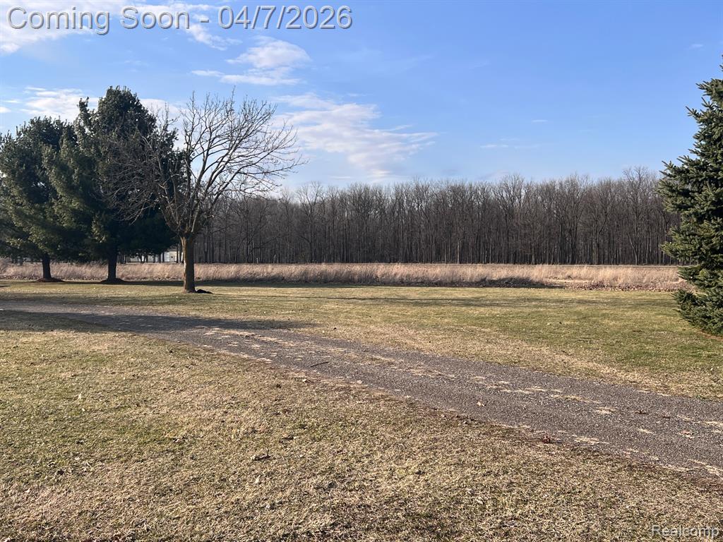 4740 S Francis Road, St. Johns, MI 48879 — Photo 32