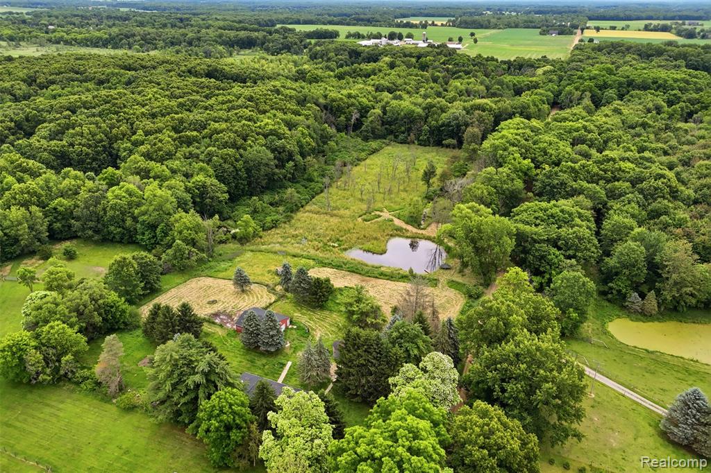 8573 W Lovejoy Road, Byron, MI 48418 — Photo 37