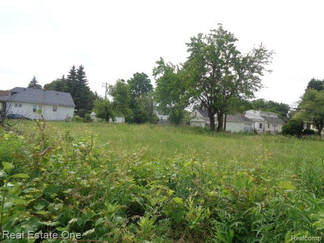 5201 CASMERE Street, Hamtramck, MI 48212 — Photo 3