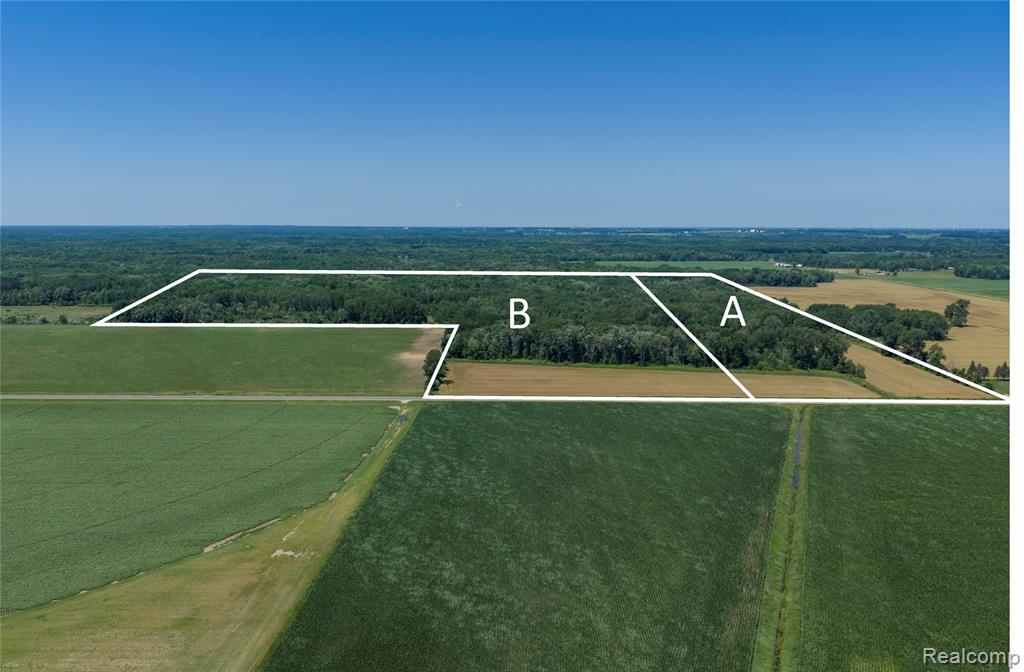 Parcel B Dodge Rd, Cass City, MI 48726 — Photo 2