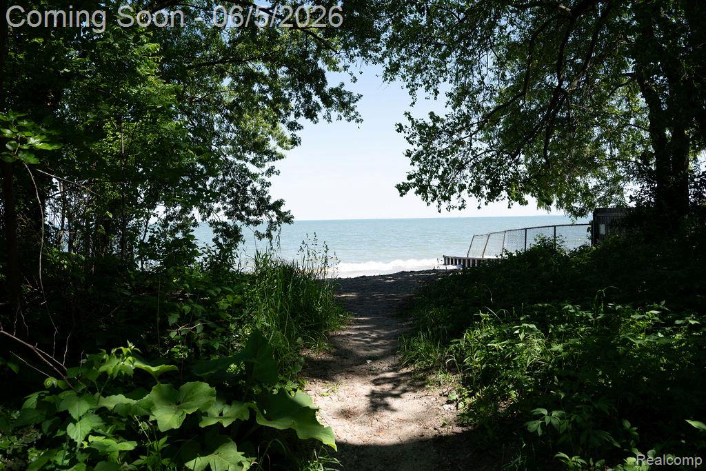 6321 Avenue B, La Salle, MI — Photo 56