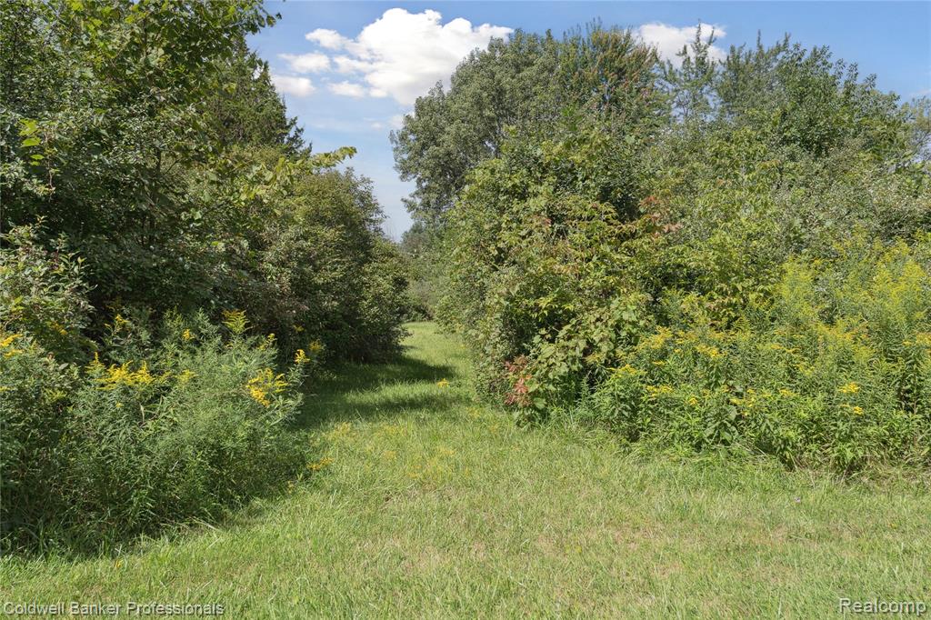 11377 N Lewis Road, Clio, MI 48420 — Photo 42