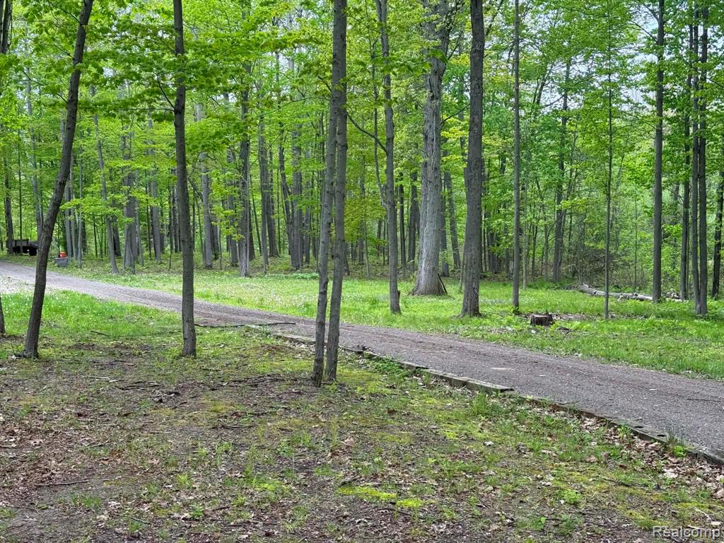 5994 N Lake Sanford Road, Sanford, MI 48657 — Photo 26