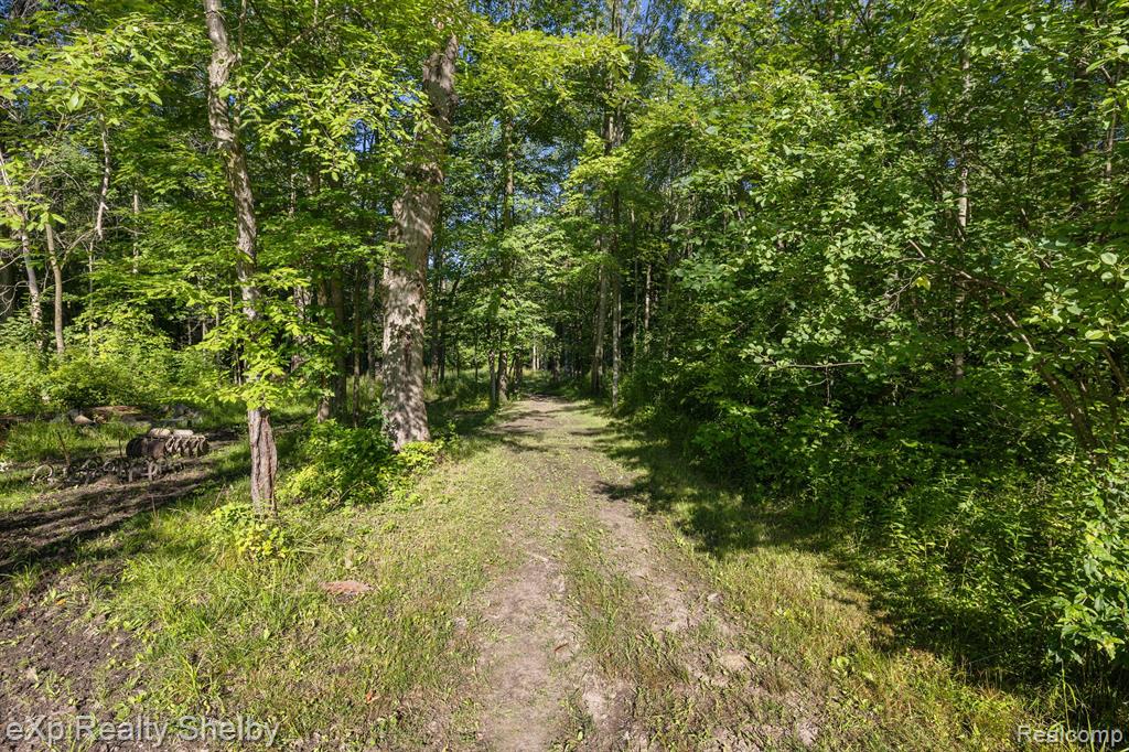 5697 GLEASON Road, Emmett, MI 48022 — Photo 51