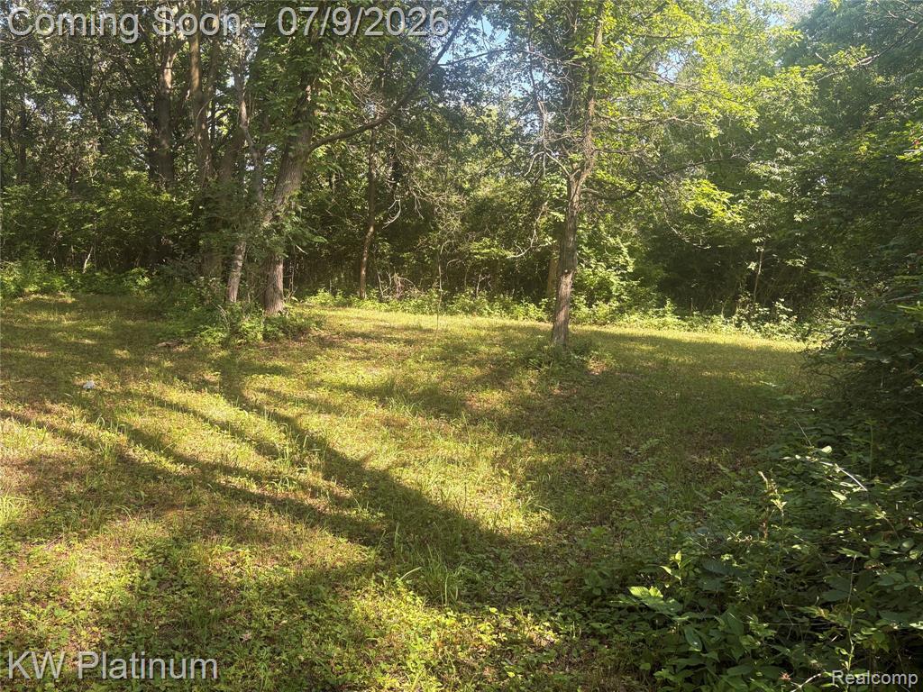 7280 North Road Road, Burtchville, MI 48059 — Photo 34