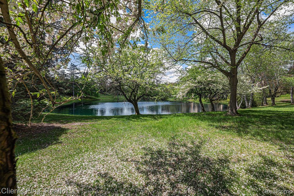 6202 ANDREA Lane, West Bloomfield, MI — Photo 26