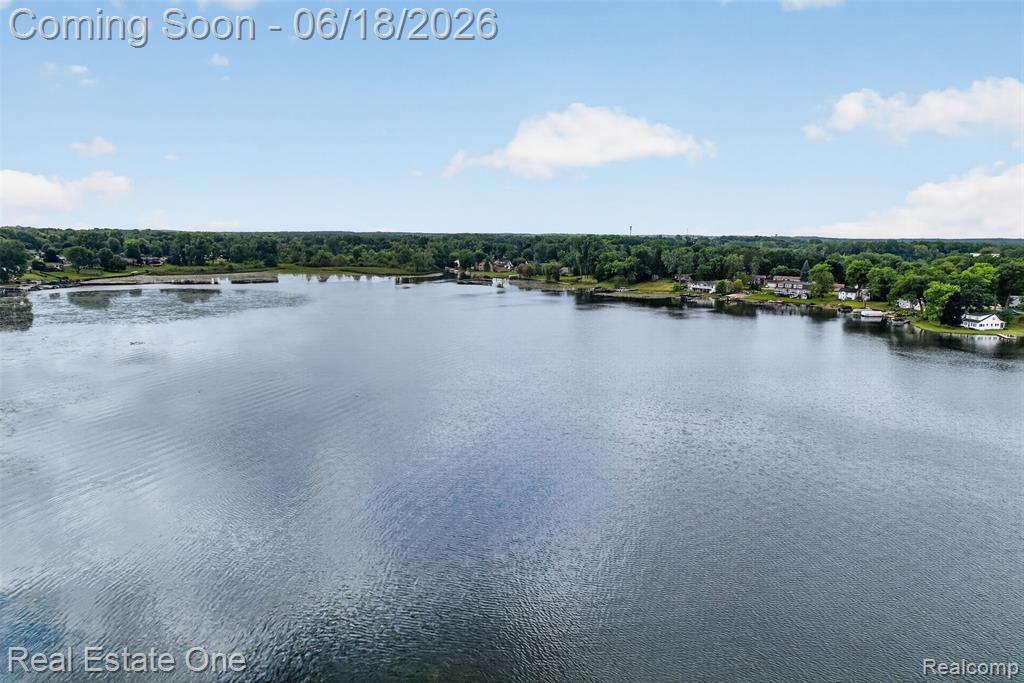 475 Court Lane, Howell, MI 48843 — Photo 50
