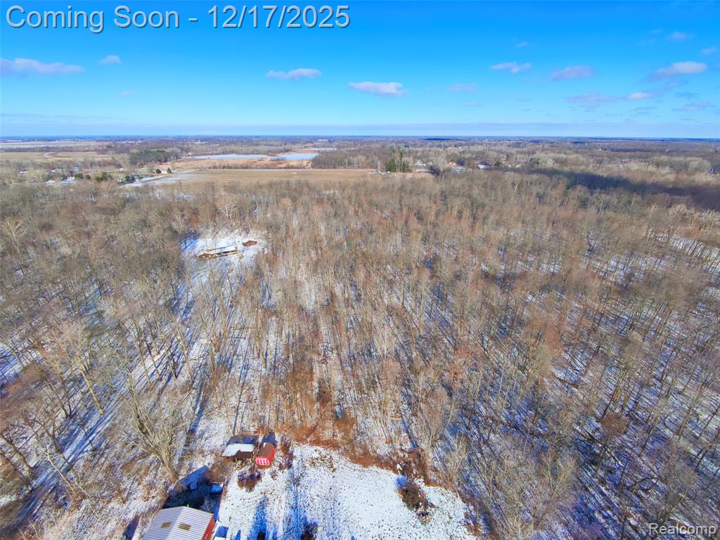 4870 W Samaria Road, Temperance, MI 48182 — Photo 24