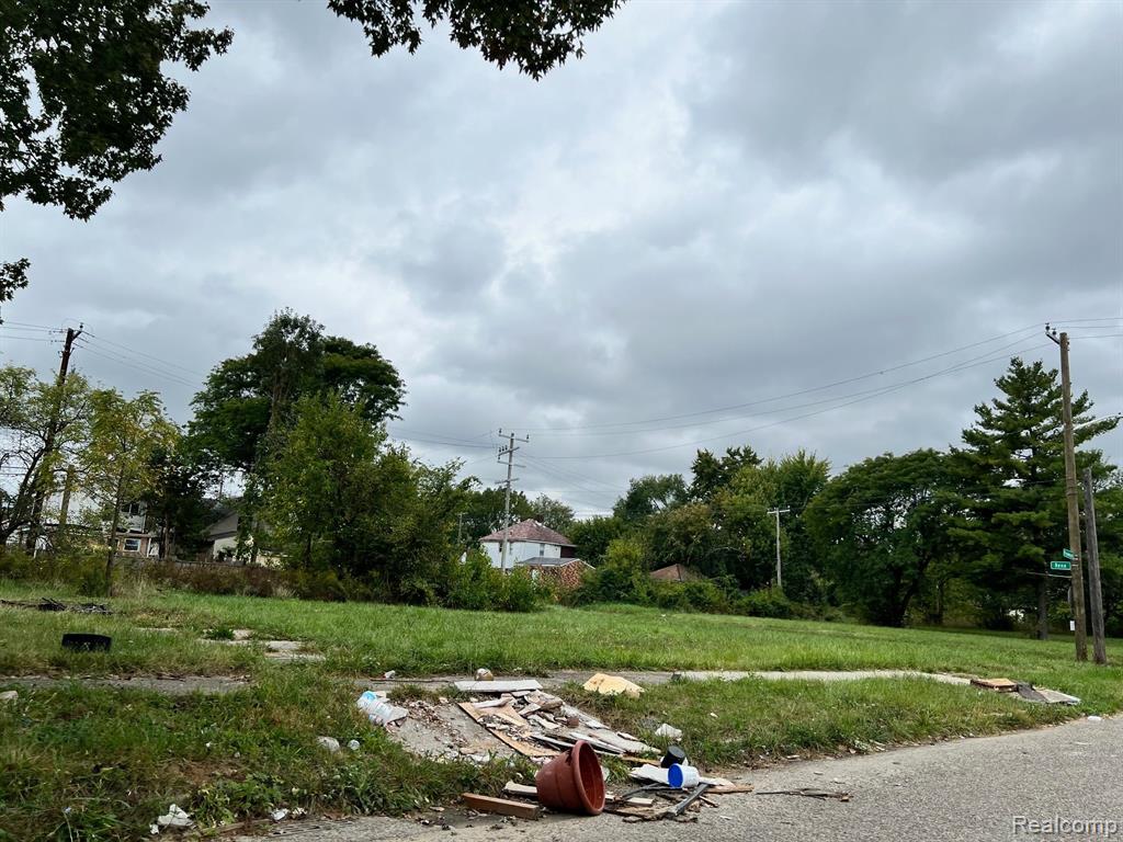 13832 PINEWOOD Street, Detroit, MI, 48205