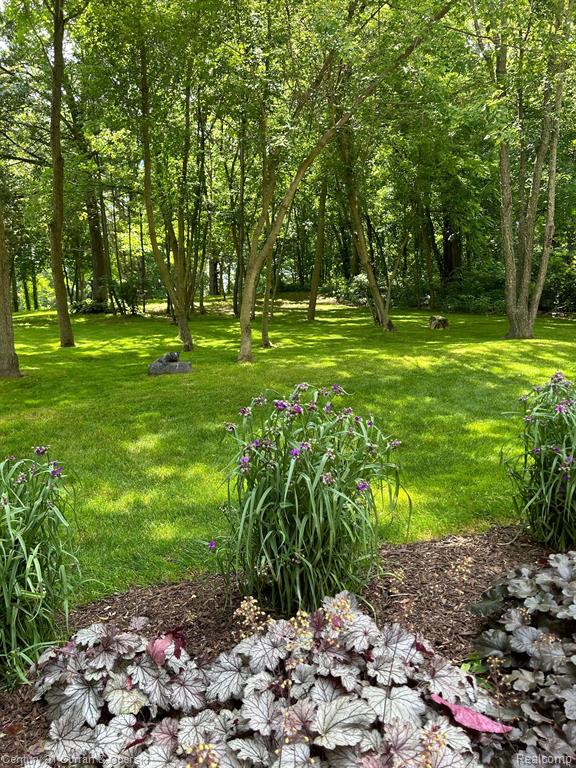 4574 CLIFFORD Road, Brighton, MI 48116 — Photo 53