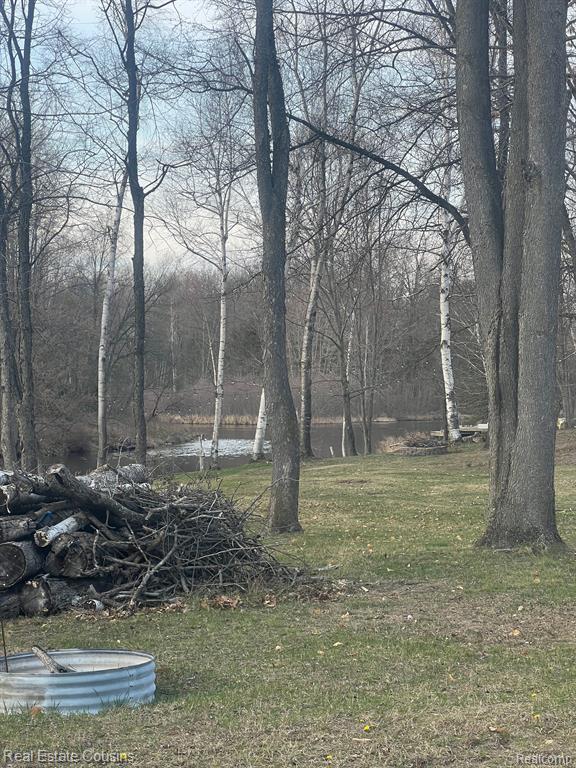 6214 Larch Trail, Lake, MI 48632 — Photo 5