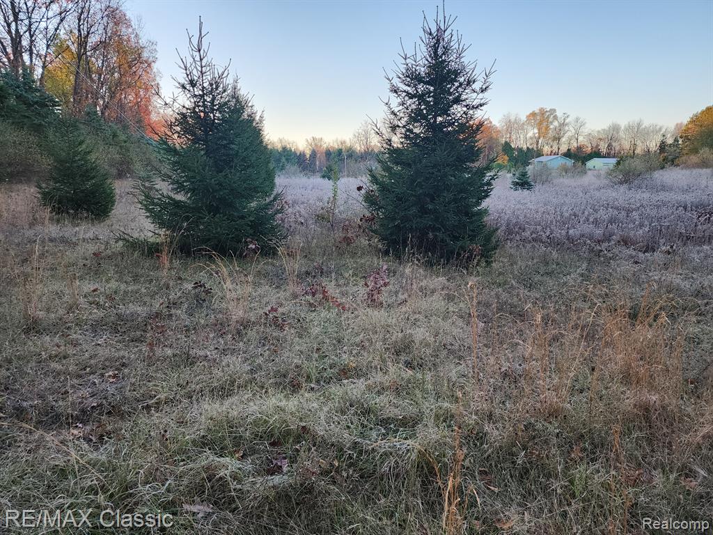 4125 N TIPSICO LAKE Road, Hartland, MI 48353 — Photo 17