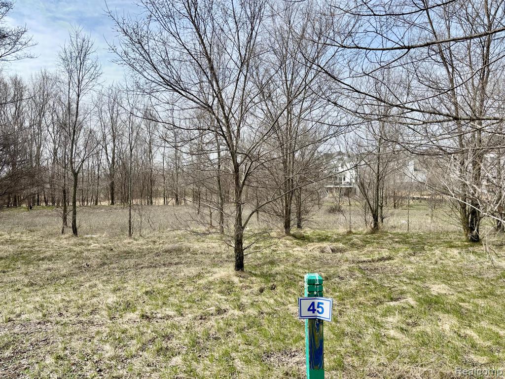 4448 Ford Avenue, Linden, MI 48451 — Photo 3