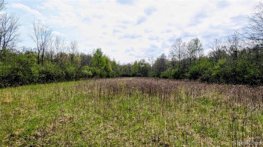 44043 Tyler Road, Belleville, MI 48111 — Photo 11
