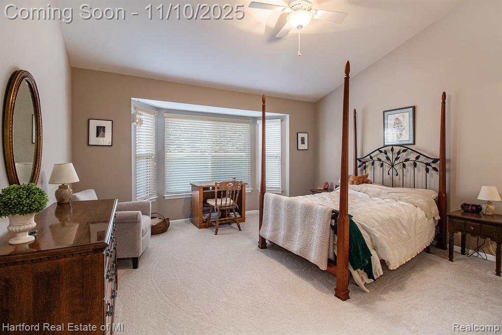 59572 Twin Pines Drive Twin Pines Drive, New Hudson, MI 48165 — Photo 11