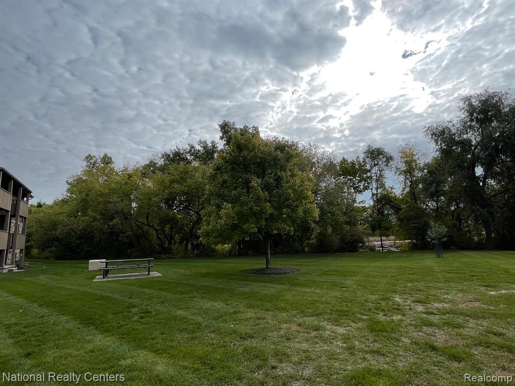 8719 Meadowbrook Drive, Brighton, MI 48116 — Photo 12