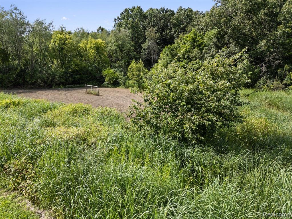 V/L BLAKE Road, Jackson, MI 49201 — Photo 23