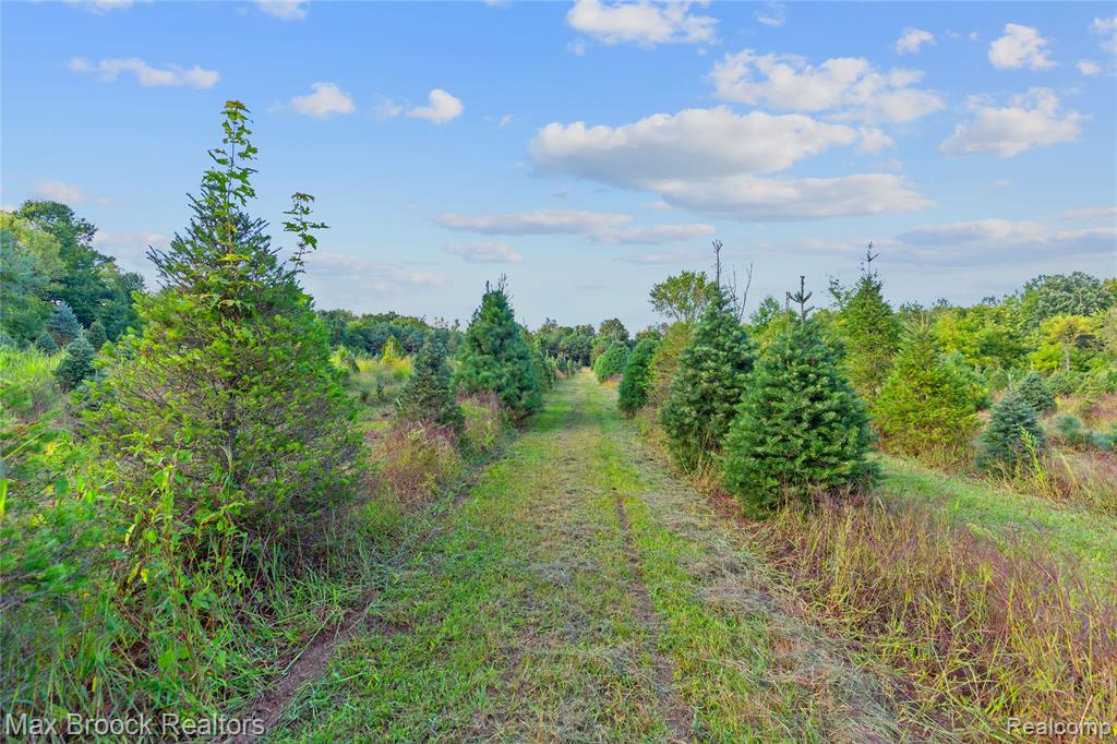 4700 Stanley Road, Columbiaville, MI 48421 — Photo 74