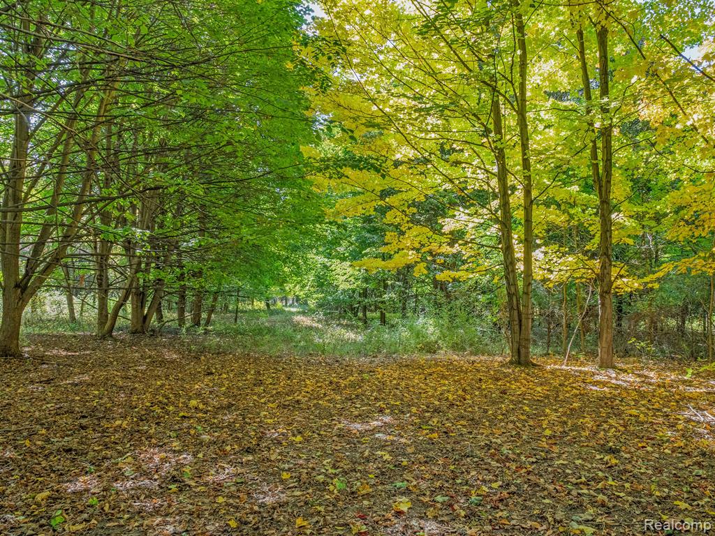 4695 Waterwood Way, Howell, MI 48855 — Photo 14