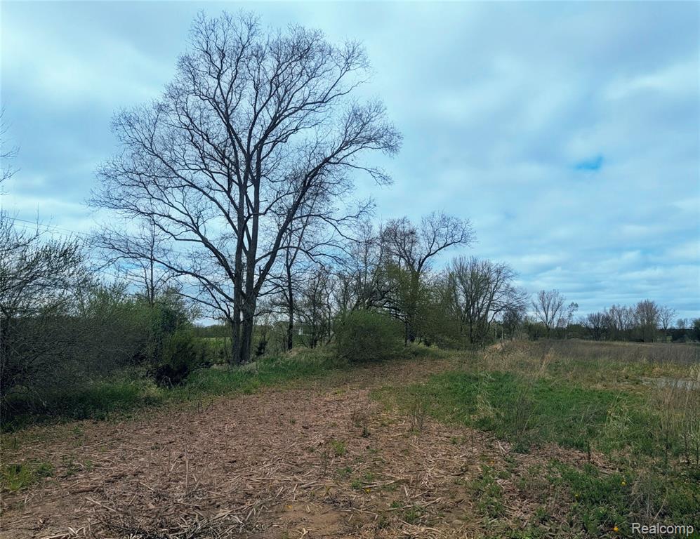 Parcel E Hogan Road, Linden, MI 48451 — Photo 16