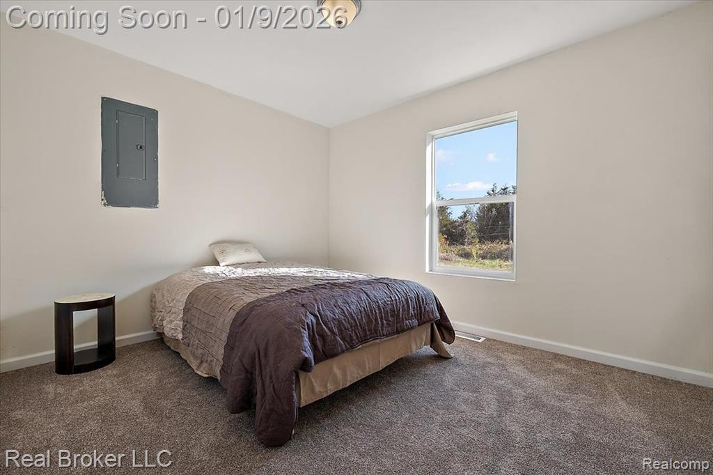 6640 Lemon Road, Bancroft, MI 48414 — Photo 22
