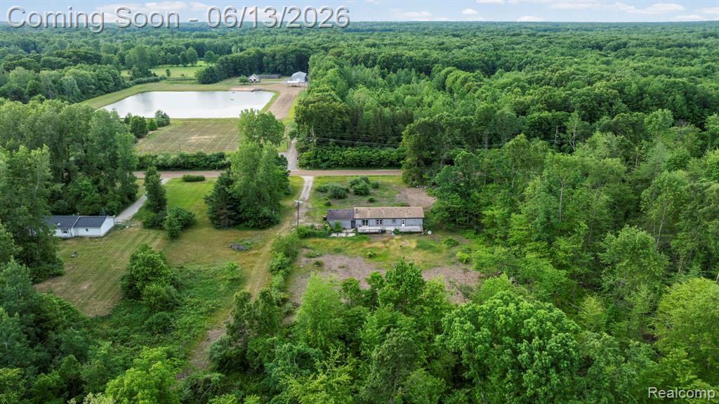 51105 Arkona Road, Belleville, MI 48111 — Photo 6