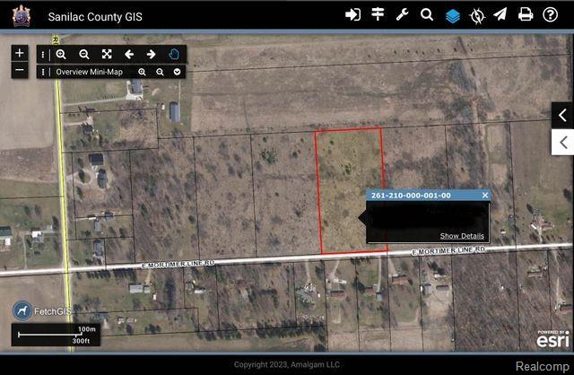 Vacant Land Mortimer Line Road, Lexington, MI 48450 — Photo 6
