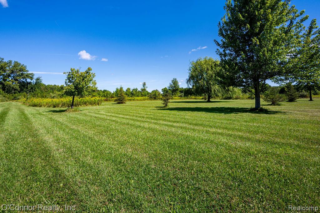 8552 Rynn Road, Avoca, MI 48006 — Photo 30