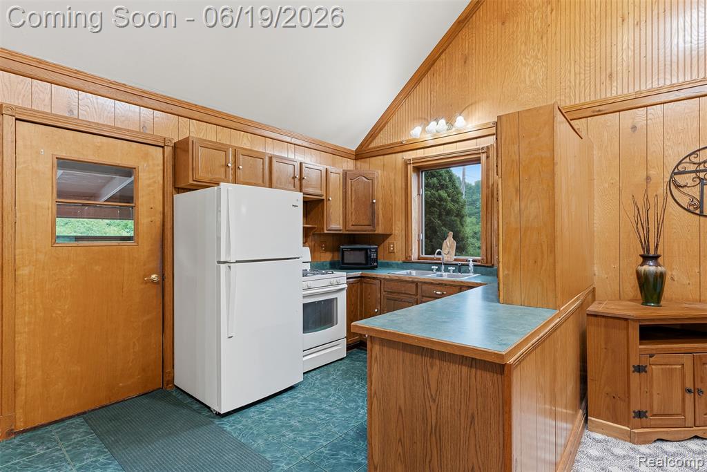 6109 N State Road, Davison, MI 48423 — Photo 12