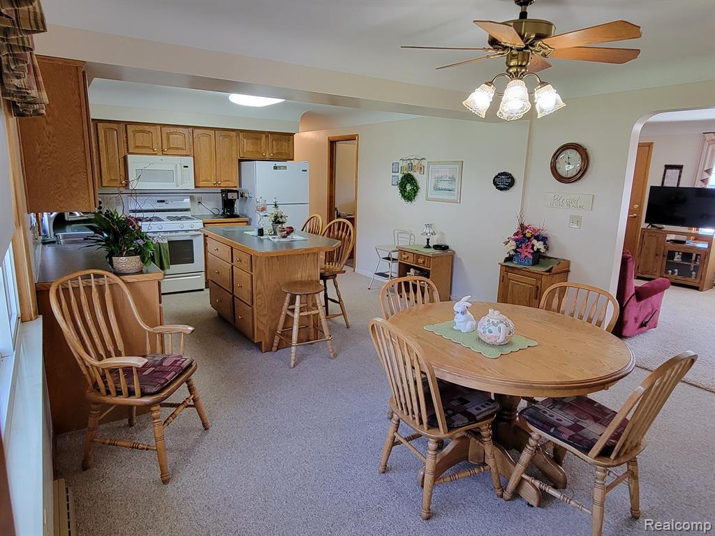 42 S FLOWER Street, Croswell, MI 48422 — Photo 4