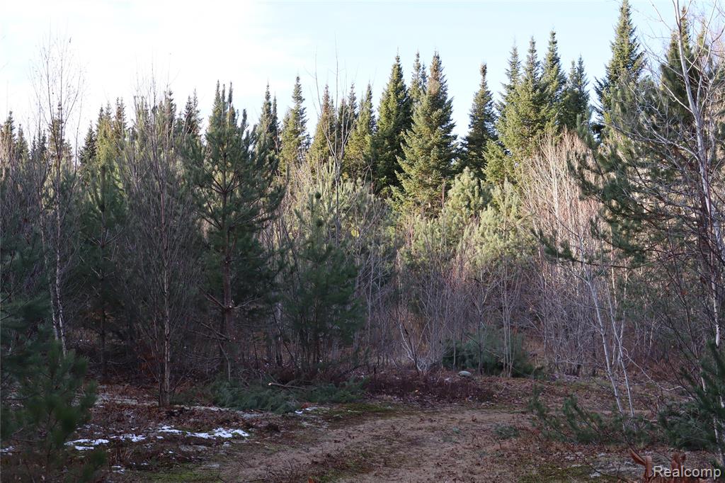 #A W Pendills Lake Road, Brimley, MI 49715 — Photo 50
