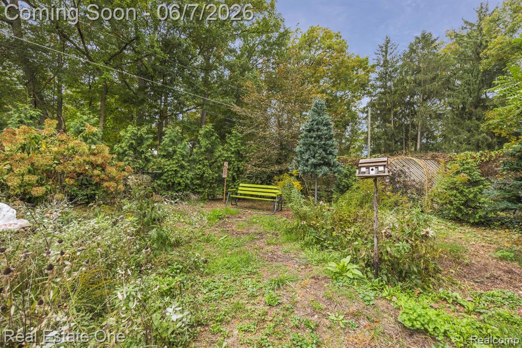 200 E CANYON Drive, Milford, MI 48380 — Photo 39