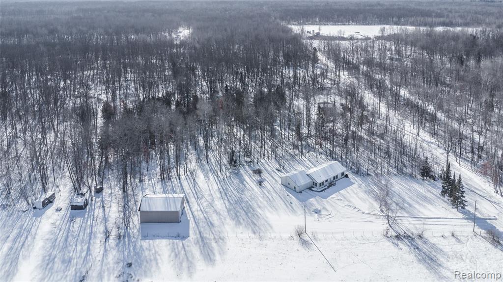 11944 N Wise Road, Clare, MI 48617 — Photo 24