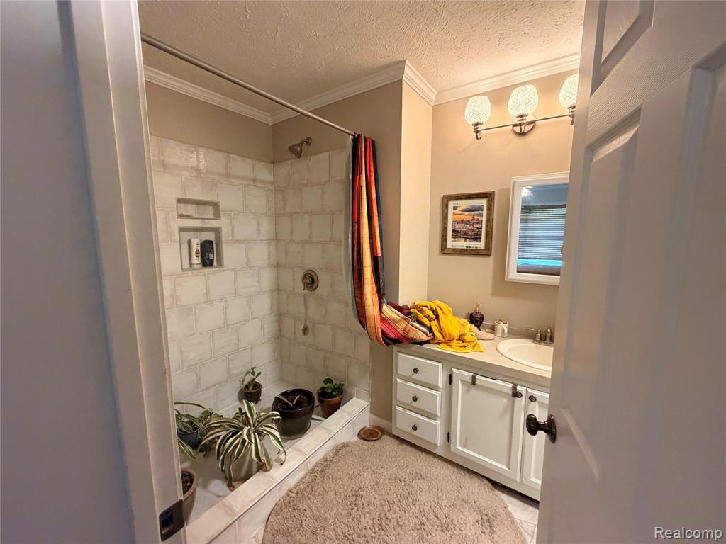 337 Lafayette Street, Manchester, MI 48158 — Photo 14