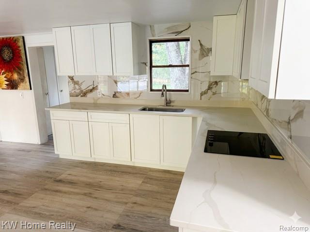 4456 Five Lakes Road, North Branch, MI 48461 — Photo 2