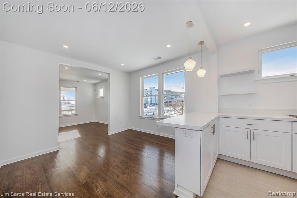 249 Custer Upper, Detroit, MI 48202 — Photo 9