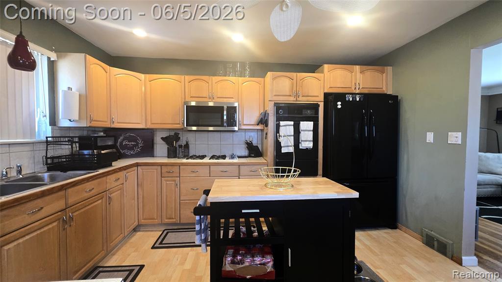 16017 Chestnut Street, Roseville, MI 48066 — Photo 13