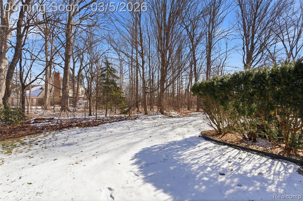 15948 Park Lane, Northville, MI 48168 — Photo 44