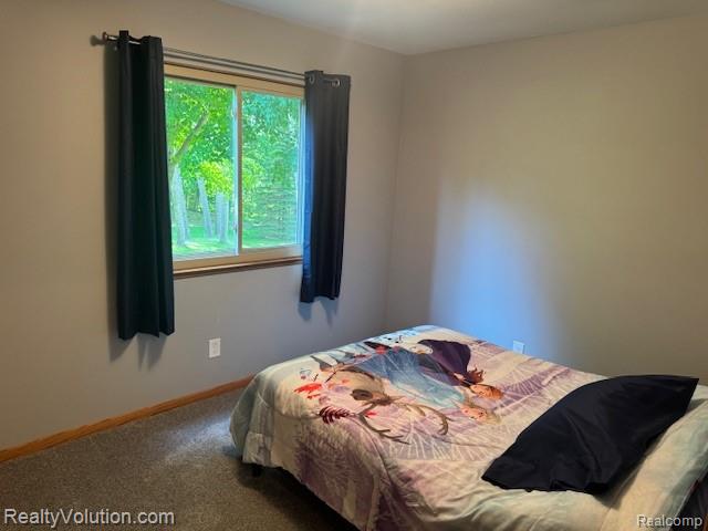 1702 Birch Road, Attica, MI 48412 — Photo 24