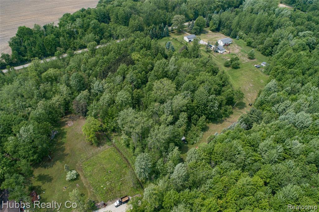 3960 Hanes Road, Vassar, MI 48768 — Photo 65