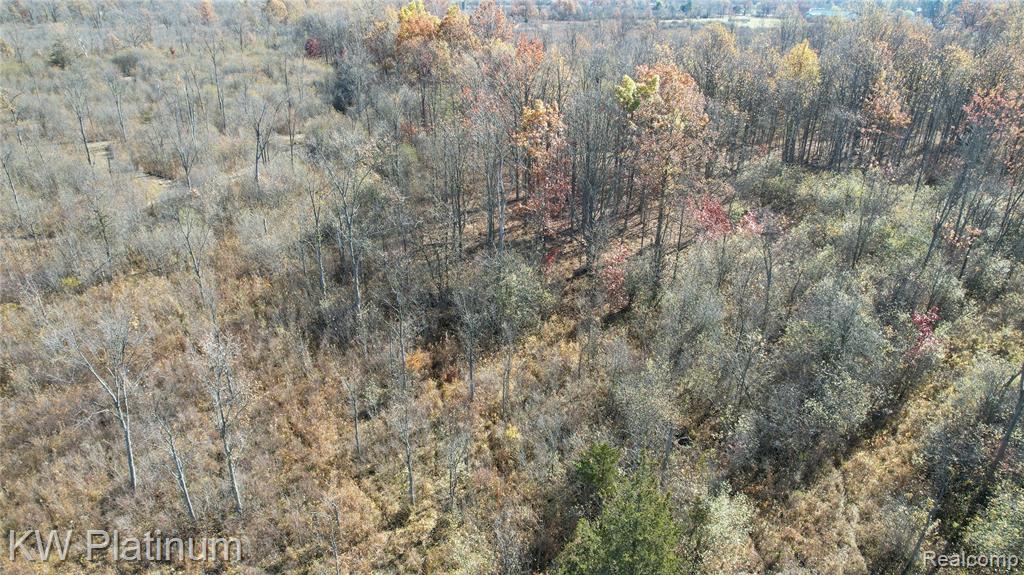 VACANT 2 - 28 Mile Road, Ray, MI 48096 — Photo 8