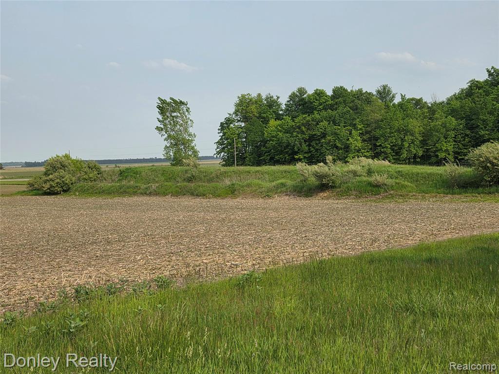 5900 Frenchline Road, Marlette, MI 48453 — Photo 15