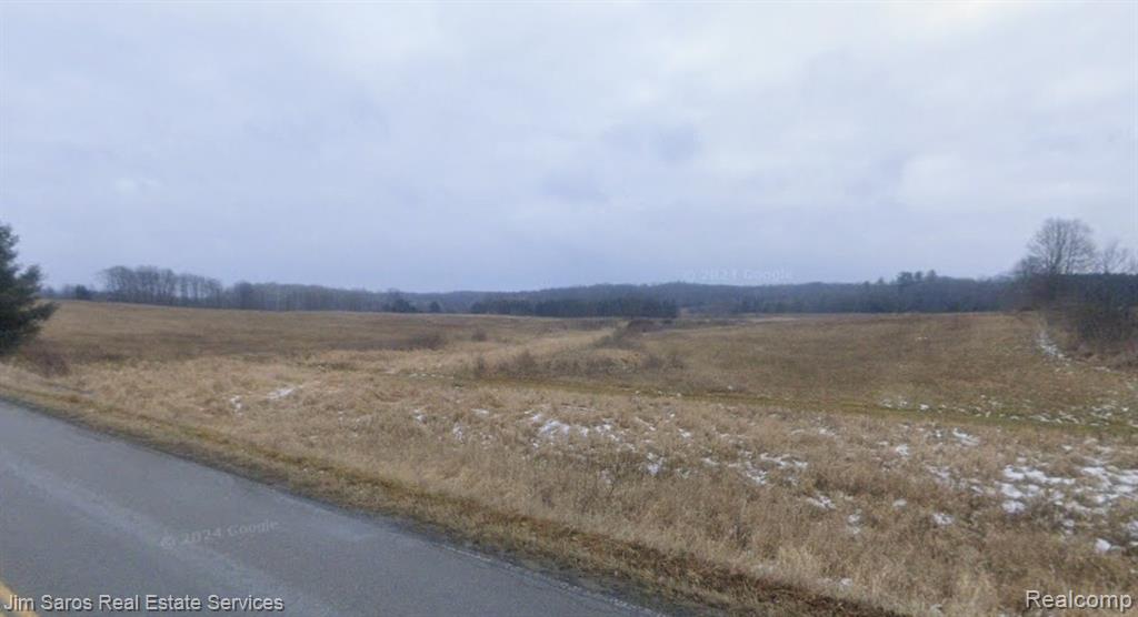 4771 E County Line Road, South Branch, MI 48761 — Photo 2